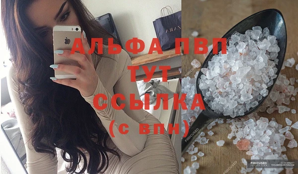индика Балахна