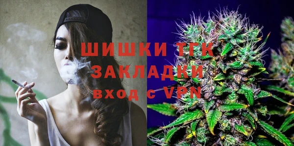 индика Балахна