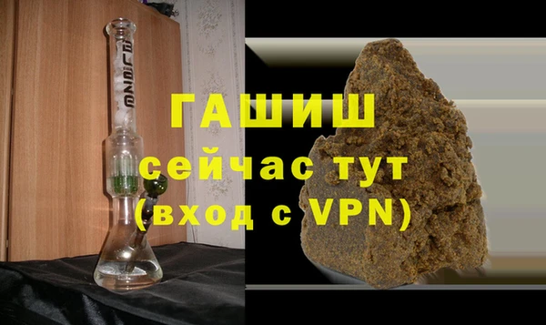 индика Балахна