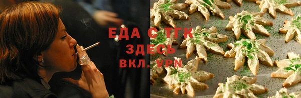 индика Балахна