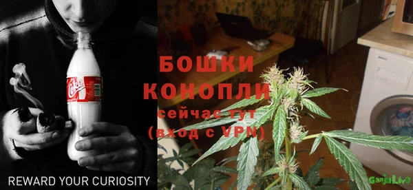 индика Балахна