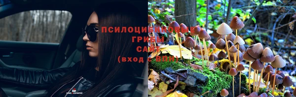 индика Балахна