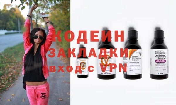 индика Балахна