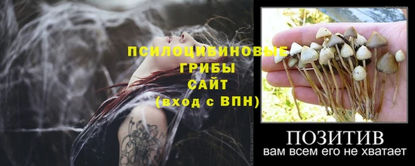 индика Балахна