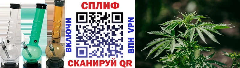 МАРИХУАНА семена Гурьевск